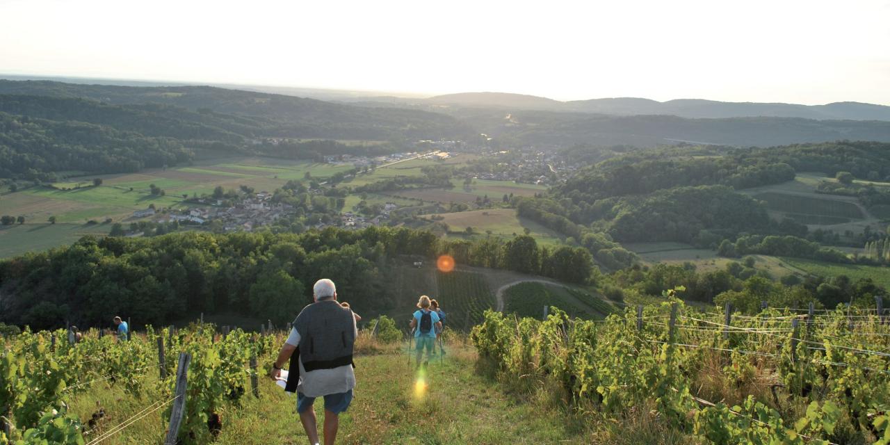 Vaingabond, une course très orientée !
