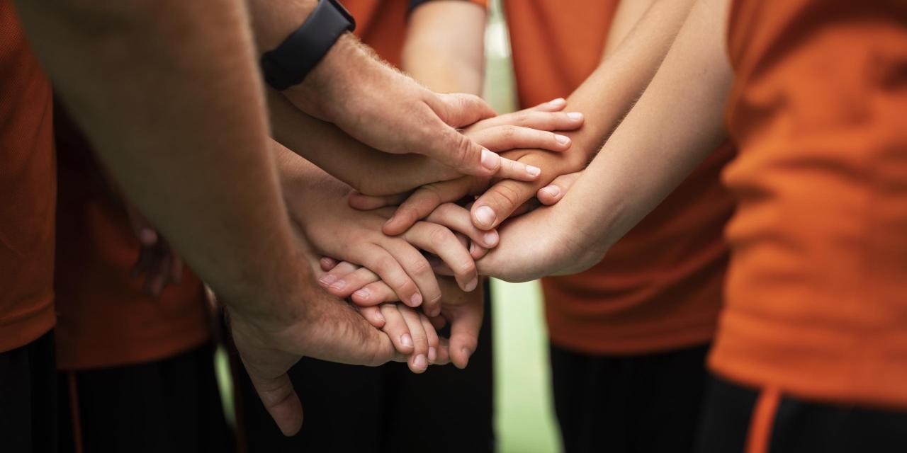 50 ans de passion, 50 ans de handball à Oyonnax !