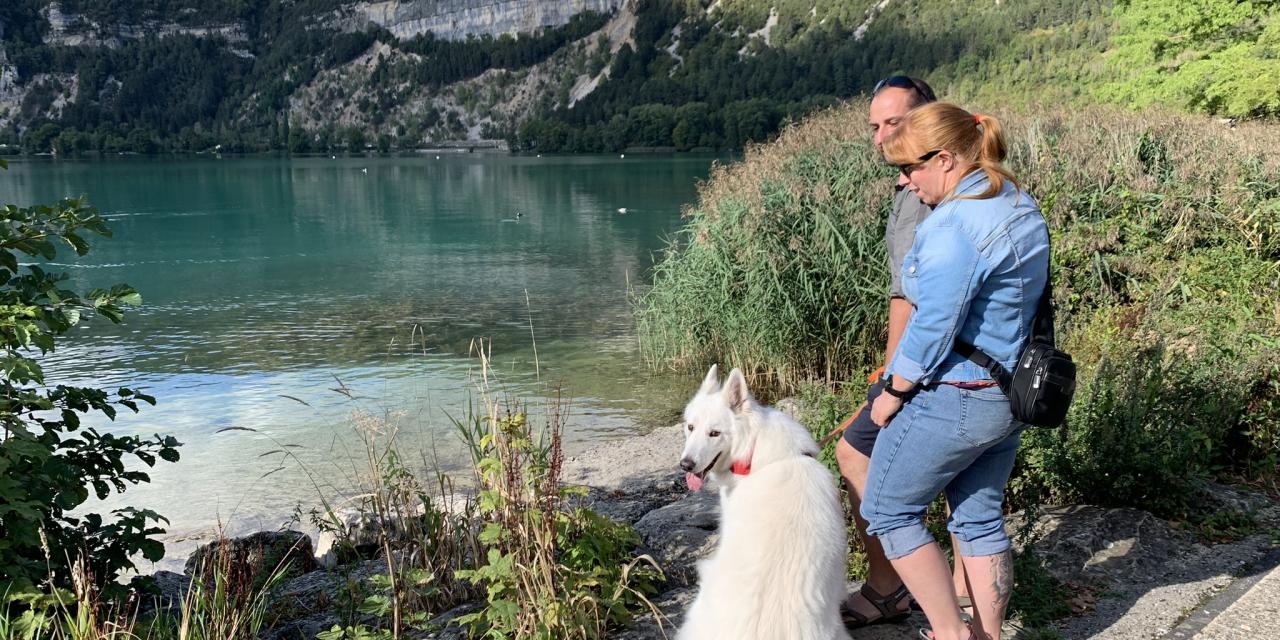 Le Haut-Bugey reconnu dogfriendly !