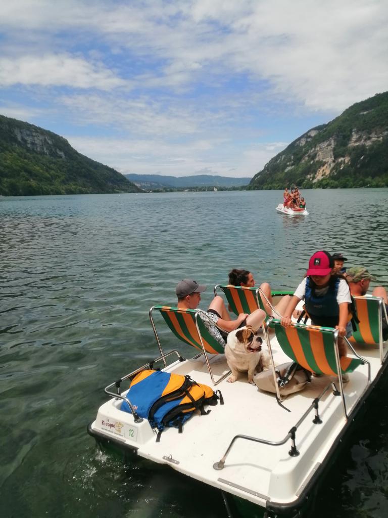 tournagevideodogfriendlycopyhbt nathaliequesney 46