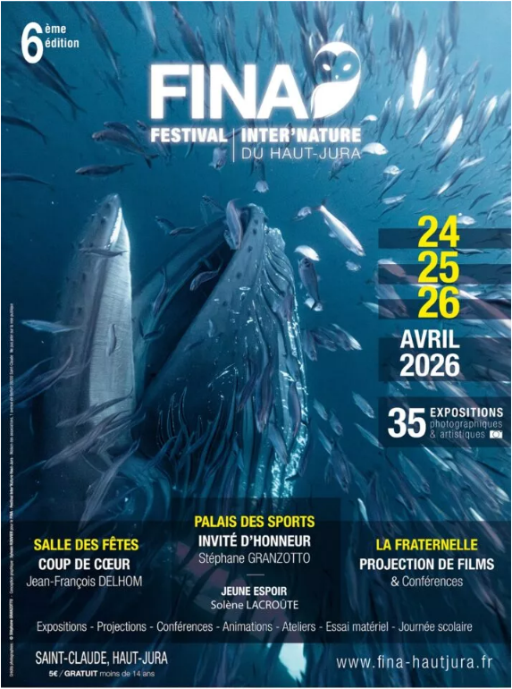 fina2006 1