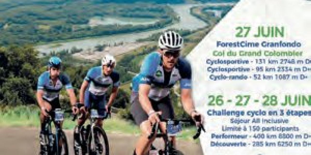 ForestCimes : à vélo, viser toujours plus haut !