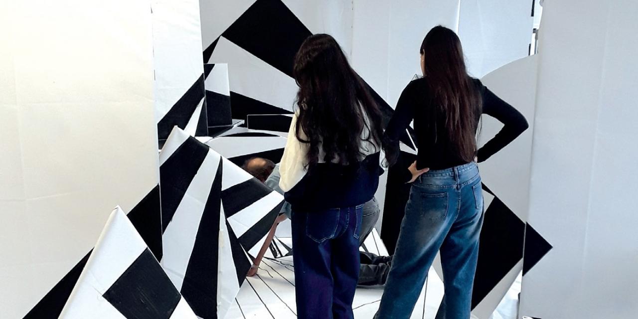 Projet « Anamorphose », ou la métamorphose du collège Ampère !