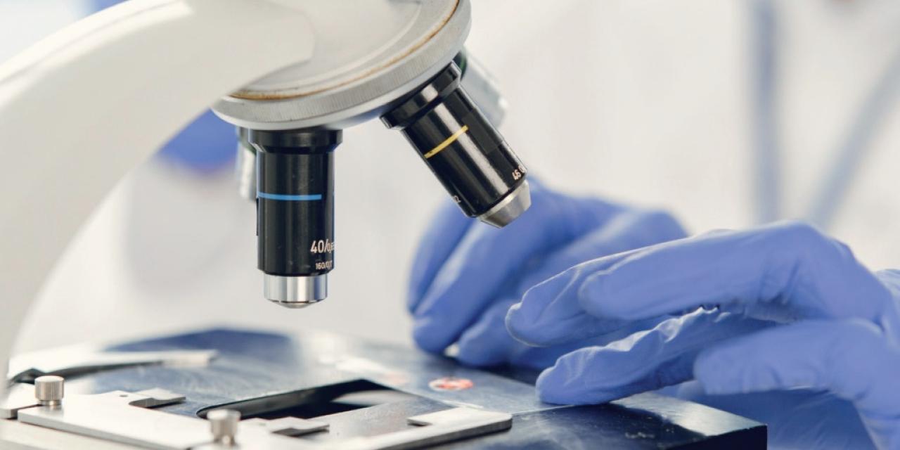 Fête de la science : 2026 vous régale !